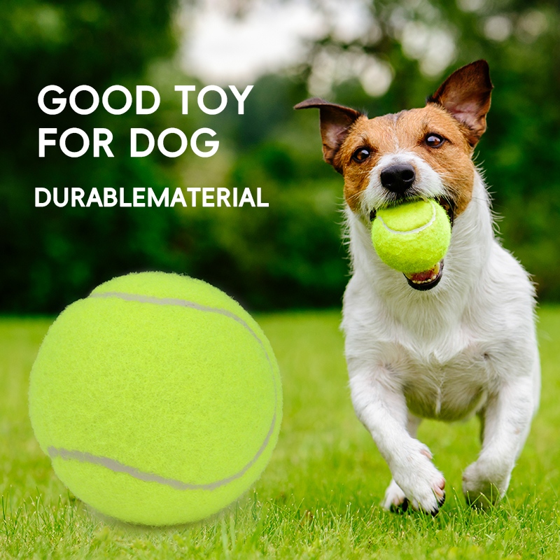 tennis training ball manufacturer