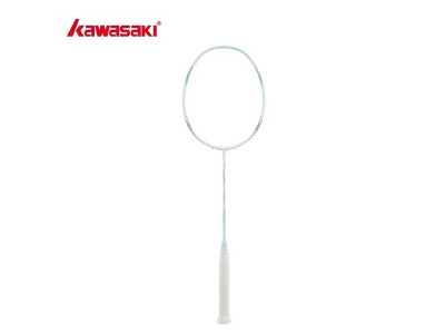 raqueta de bádminton profesional