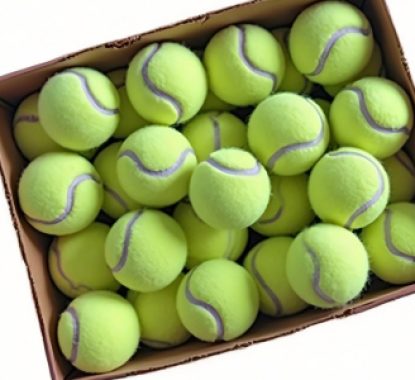 Tennis Practice Balls